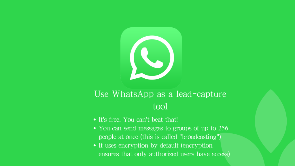 Use WhatsApp as a lead-capture tool